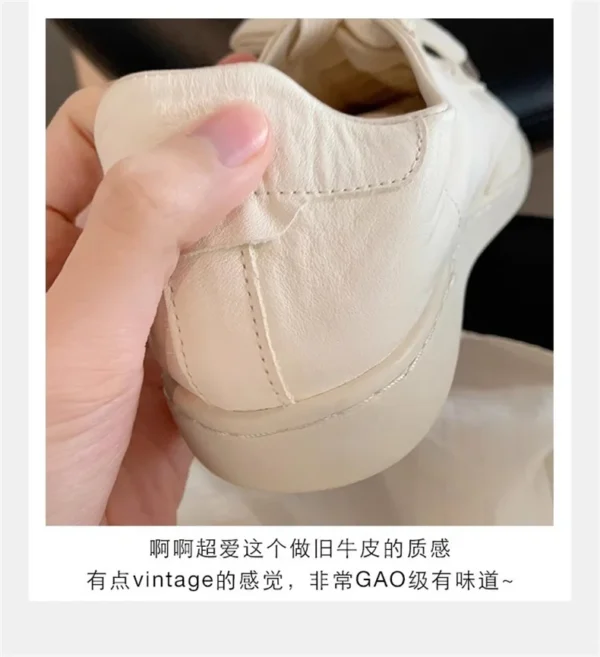 Se69158ae6efd4bc0bf4fd9739fc05a172.webp